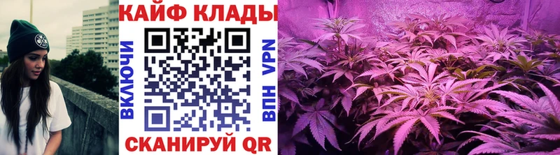 Где купить наркоту Бирюч Кокаин  Метамфетамин  Конопля  ГАШ 