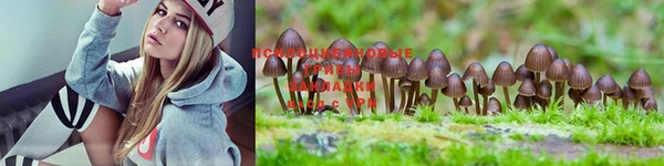 кристаллы Майский